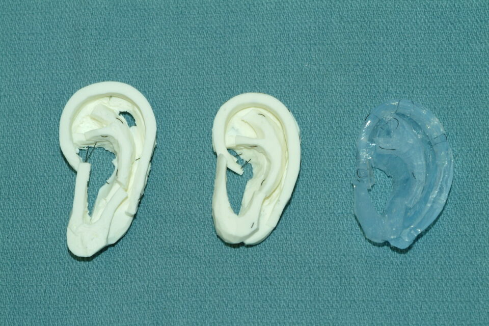 carved-ear-models