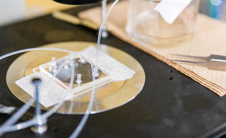 Microfluidic device