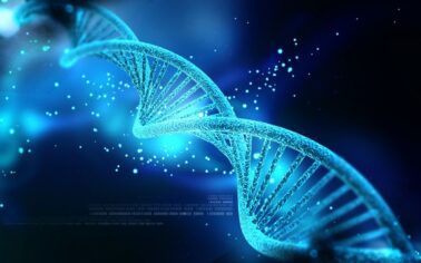 DNA’ya sabit disk muamelesi yapmak