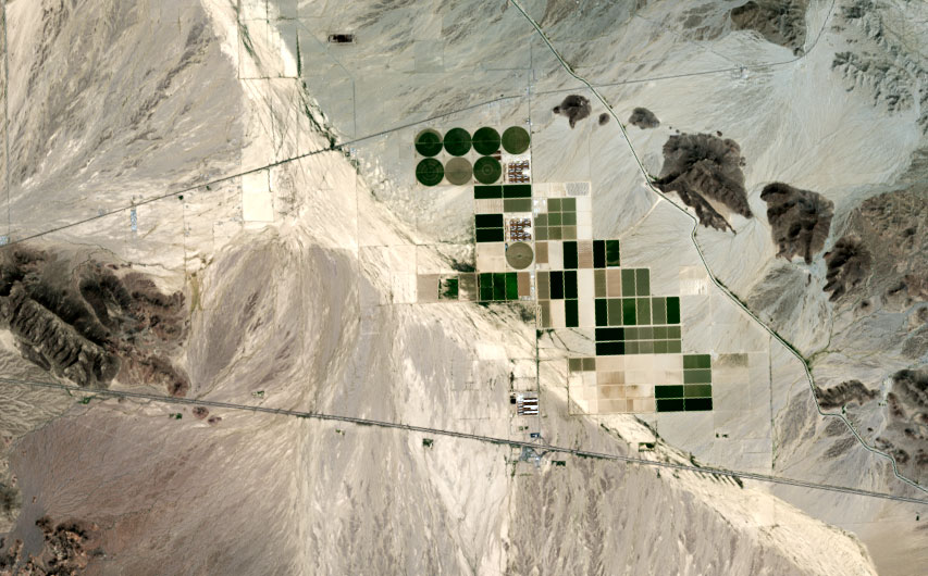 Suudi Arabistan'ın Arizona'da oluşturduğu tarım arazileri