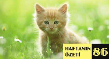 Haftanın Özeti: 86
