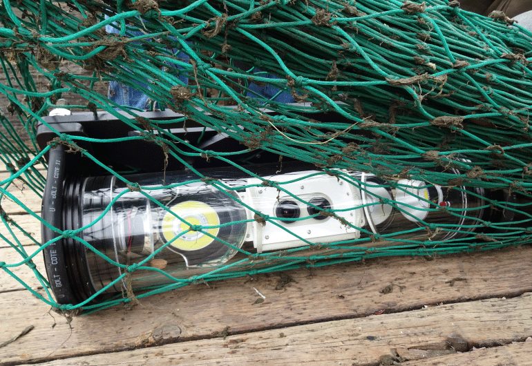 smartcatch
