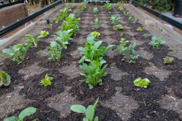 Farmbot ile tarımda otomasyon devri