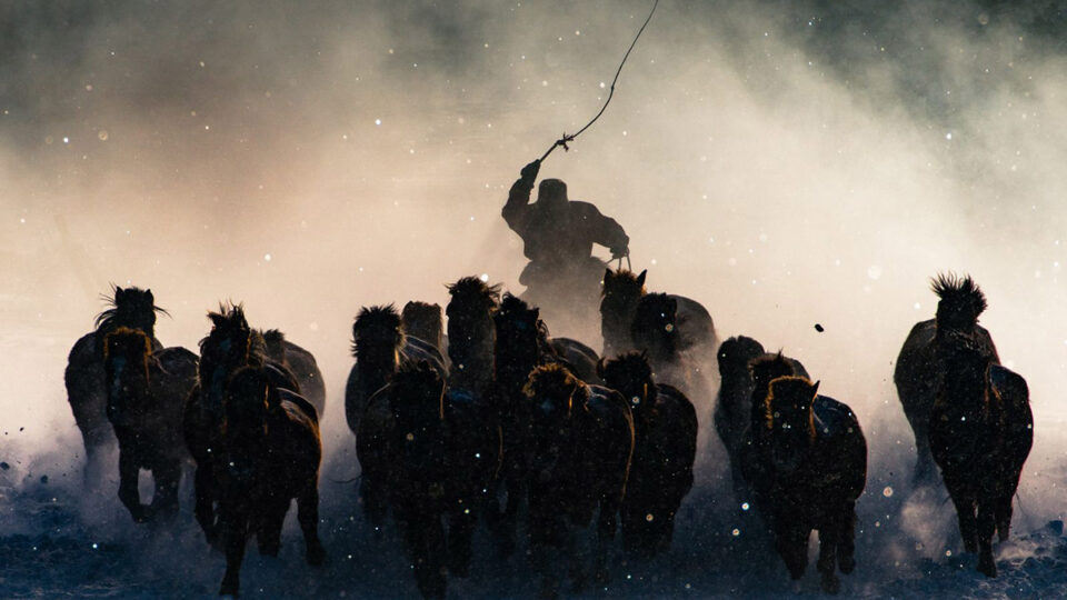Anthony Lau'un büyük ödülü kazanan Winter Horseman adlı fotoğrafı 