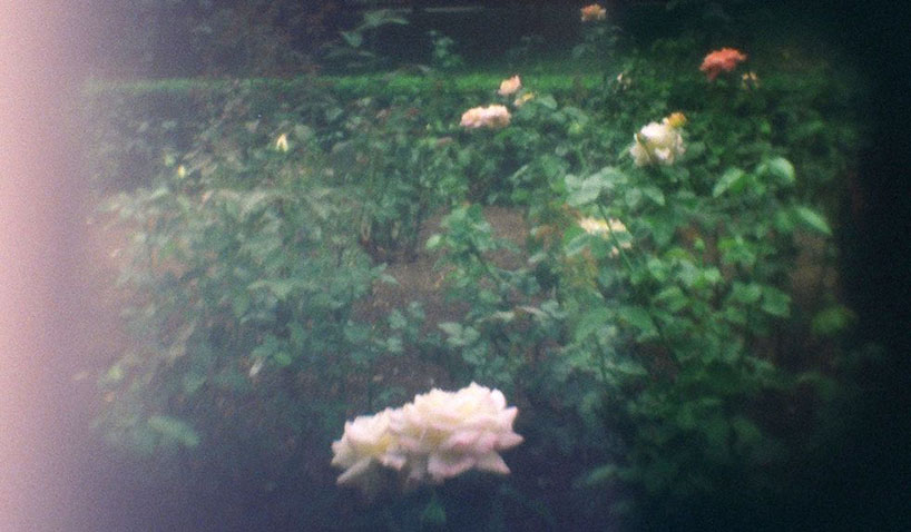 3dp-camera_flowers-jpg-980x0_q80_crop-smart-2