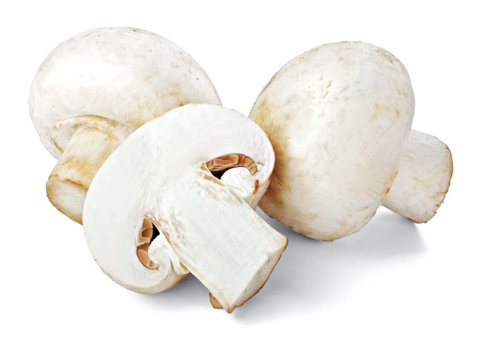 mushrooms