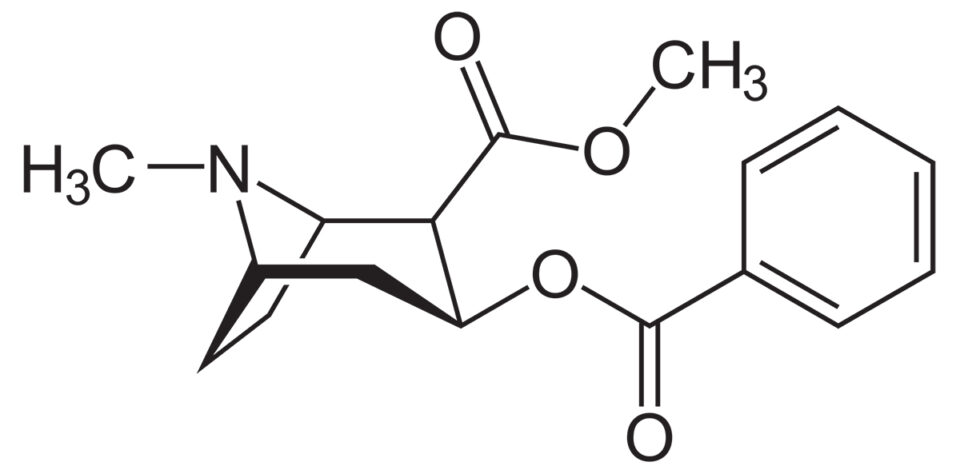 kokain_-_cocaine
