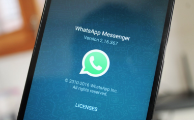 WhatsApp ‘Kurumsal’ sürümünün izleri