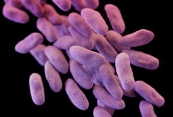 Antibiyotiklerin başedemediği ‘süper bakteri’