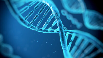 DNA’ya yüklenen ilk video