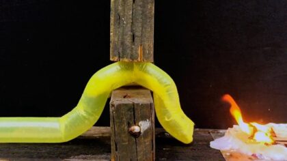 Afet mağdurlarını sürüngen robotlar kurtaracak