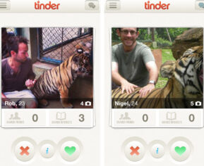 PETA Tinder’da kaplan kullanılmasına karşı