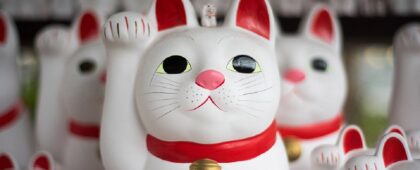 Kedi paraziti beyin hastalıklarına yol açabiliyor