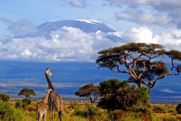 Kenya en geniş kapsamlı vatandaşlık maaşı deneyine hazırlanıyor