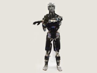 ‘Terleyen’ robot