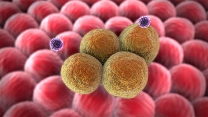 Nano fabrikalar kanser kalelerini içten fethediyor