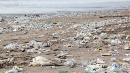ESA okyanuslardaki plastik kirliliğini uzaydan taramayı deneyecek