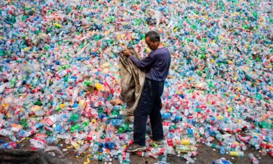 Plastikle beslenen bir enzim üretildi