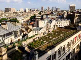 Yeşil ve grinin buluştuğu şehir: Paris