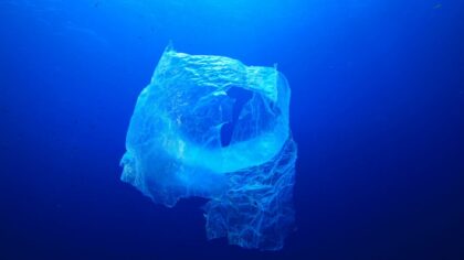 Okyanuslardaki plastiği temizlemek için çalışan 5 girişim
