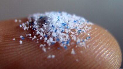 Farkında olmadan her gün mikroplastik yiyoruz
