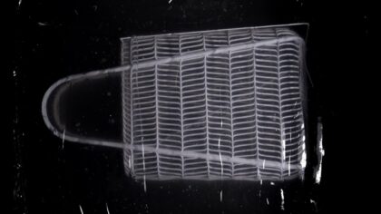 4D baskıyla üretimin geleceğine bakış