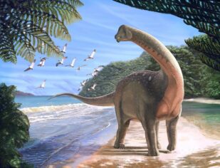 İlk dinozorların DNA sırları çözüldü