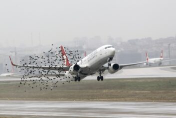 Kuşları havaalanından uzak tutan dron