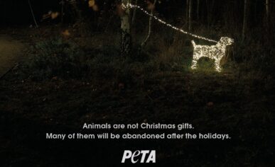 PETA: “Hayvanlar Noel hediyesi değildir”