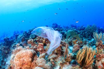 Dünyanın en derin noktasında da plastik atık bulundu