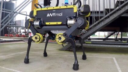 Daha hızlı koşmayı öğrenen robot köpek