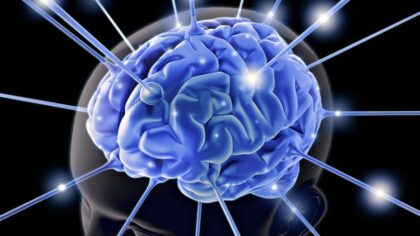 Alzheimer hastalığı ‘şeffaf kafatası’ ile takip edilecek
