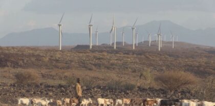 Kenya’da Afrika’nın en büyük rüzgar enerjisi santrali kuruldu