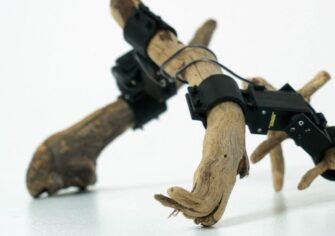 Ağaç dallarından yapılan robot yürümeyi öğrendi