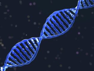 Wikipedia’nın 16 GB’lık verisi DNA’ya kaydedildi