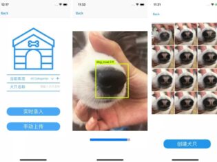 Köpeklerin burun izinden kayıp köpekleri bulan girişim