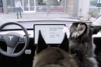 Tesla’nın ‘köpek modu’ arızası düzeltildi