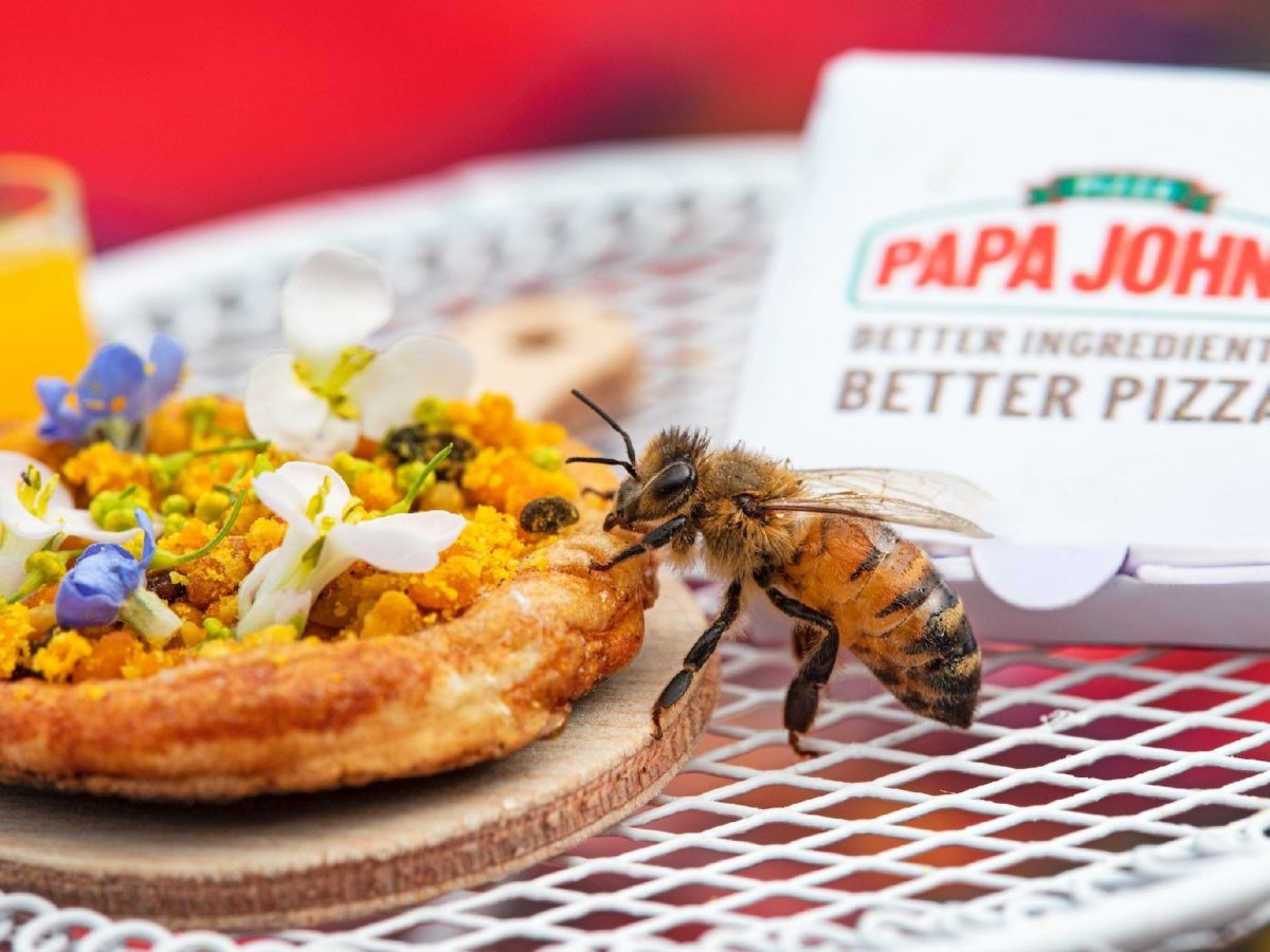 Arılara özel pizza: Beezza
